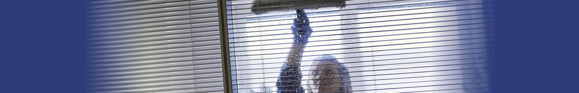 Window cleaning company